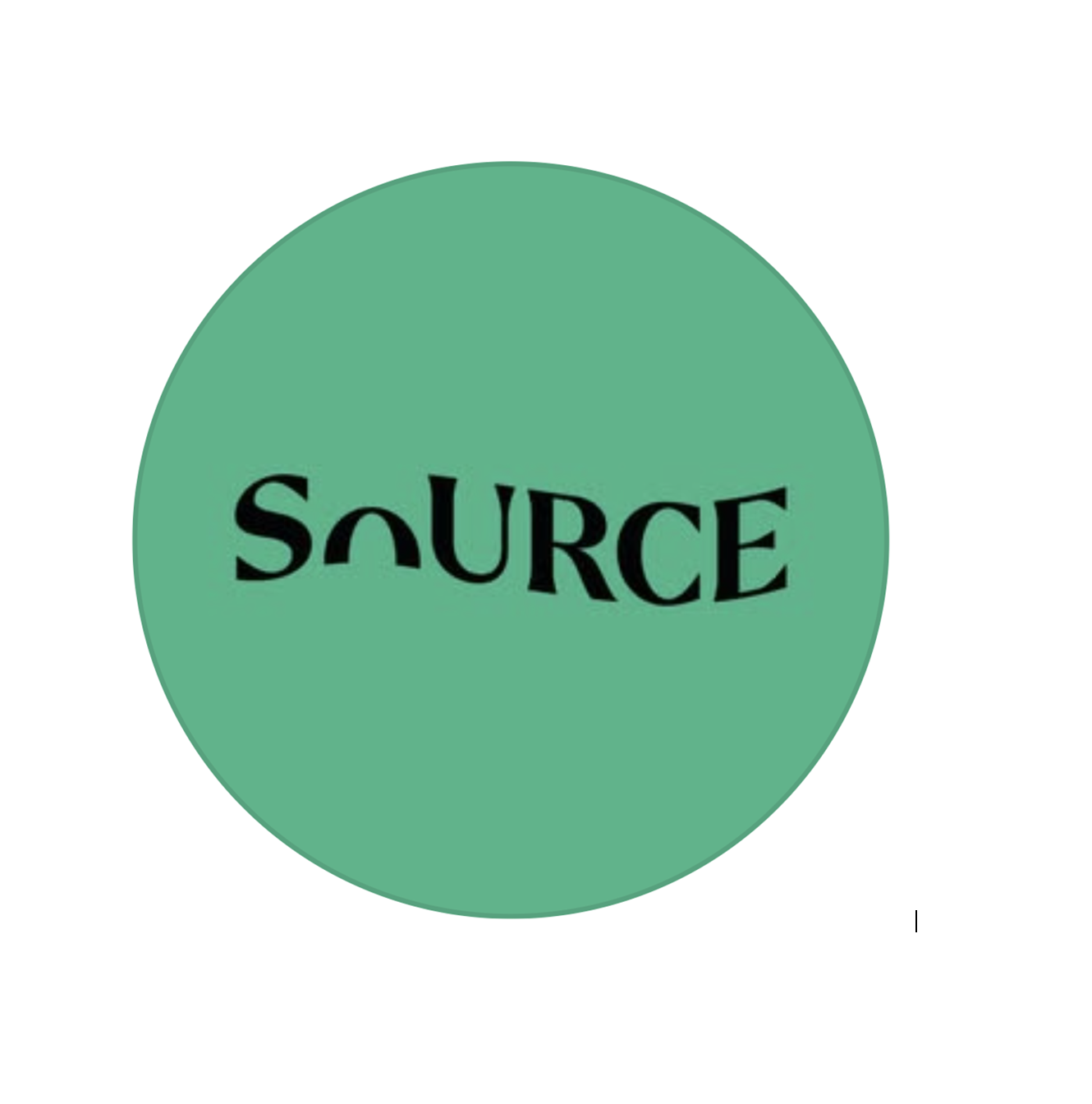 Logo of a food brand - Source, an AccountCarbon Carbon Reduction Strategy client